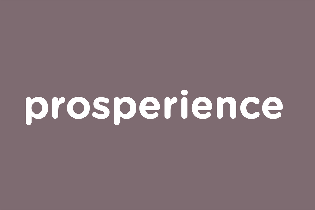 prosperience.com